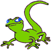 Gecko Rent a Car Reantals